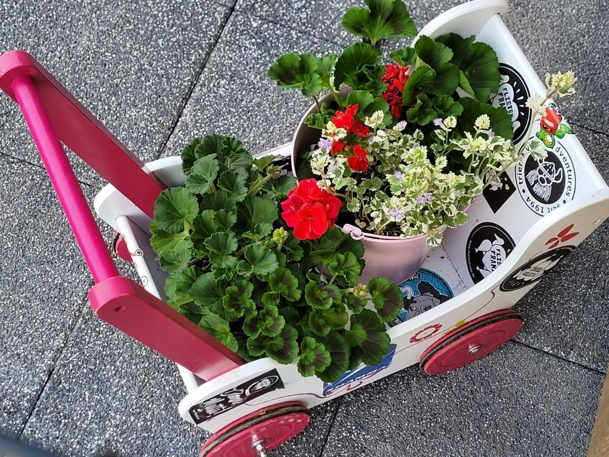 Apartament Nina 耶莱尼亚古拉 外观 照片